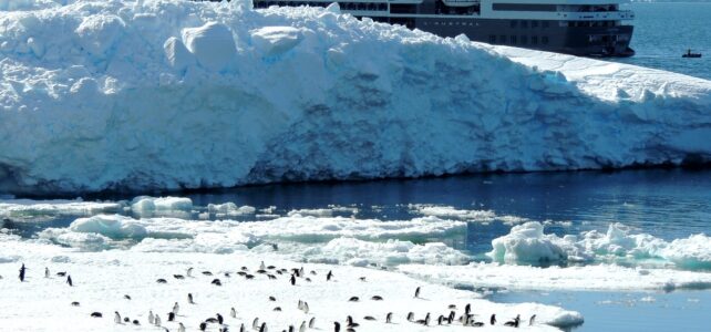 Le prix de la croisière du Ponant en Antarctique : une aventure inoubliable
